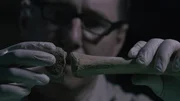 Ein Arch&auml;ologe h&auml;lt einen gefundenen Knochen