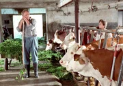 In seinem Enkel Jonas (Max Felder) findet der eigenbr&ouml;tlerische Ludwig (G&uuml;nther Maria Halmer) endlich jemanden, mit dem er reden kann.