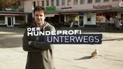 Das Logo zur Sendung "Der Hundeprofi unterwegs" mit Martin R&uuml;tter