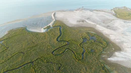 San Ignacio Lagoon in Mexiko.