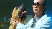 In der kleinen Stadt Jackpot wird der &ouml;rtliche Tierarzt, Dr. Dale Sterling (Jeffrey Combs), mit einem schrecklichen Mord konfrontiert.