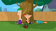 "Disneys Phineas und Ferb", "Team Phineas & Ferb / Der Strand gleich hinterm Haus." Phineas und Ferb haben das Auto ihrer Mutter mit einer Fernsteuerung versehen und zum Rennwagen umgebaut. Jetzt wollen sie beim gef&auml;hrlichen Sumpfrennen an den Start gehen. Candace sieht ihre Chance gekommen, denn der Wettbewerb wird live im Fernsehen &uuml;bertragen. Endlich wird sie ihrer Mutter zeigen k&ouml;nnen, was die beiden Br&uuml;der in ihrer Abwesenheit anstellen.