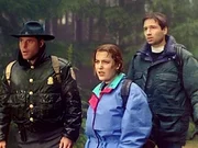Larry Moore (Jason Beghe, l.) von der Forstverwaltung und die FBI-Agenten Dana Scully (Gillian Anderson, M.) und Fox Mulder (David Duchovny, r.) trauen ihren Augen nicht, als sie auf einen &uuml;berdimensionalen Insektenkokon sto&szlig;en. Titel: Akte X - Die unheimlichen F&auml;lle des FBI