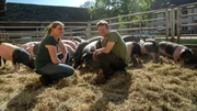 Nina und Sebastian Kill bei ihren Schweinen.
