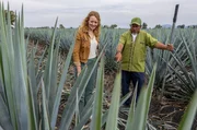 Reporterin Judith Paland fragt bei Agavenbauern nach den Arbeitsbedingungen.  Die Ernte ist k&ouml;rperlich anstrengend.