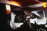 Ellen Ripley wird von einem Rettungsteam gerettet, nachdem sie 57 Jahre im Hyperschlaf verbracht hat.  Der Mond, den der Nostromo besuchte, wurde kolonisiert,  aber der Kontakt ist verloren. Diesmal haben Kolonialmarines beeindruckende Feuerkraft,  aber wird das ausreichen?