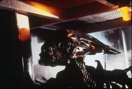 Ellen Ripley wird von einem Rettungsteam gerettet, nachdem sie 57 Jahre im Hyperschlaf verbracht hat.  Der Mond, den der Nostromo besuchte, wurde kolonisiert,  aber der Kontakt ist verloren. Diesmal haben Kolonialmarines beeindruckende Feuerkraft,  aber wird das ausreichen?