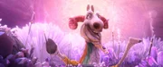 Shangri Llama