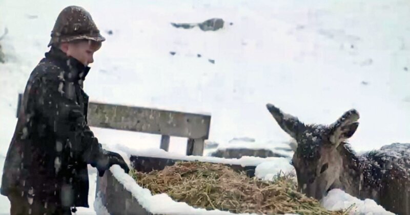 Leben im Gasteinertal (A, 2022)