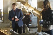Als Richard Castle (Nathan Fillion, l.) und Kate Beckett (Stana Katic, r.) am Tatort eintreffen, sind sie schockiert. Die Leiche des Opfers wurde tats&auml;chlich einbetoniert ...