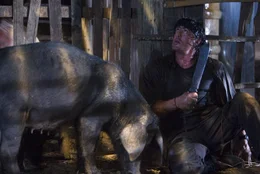 Hat das K&auml;mpfen schon vor geraumer Zeit aufgegeben, doch als es brennt, kann er sofort auf jahrelange Erfahrung zur&uuml;ckgreifen: Rambo (Sylvester Stallone) ...