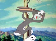 Bugs Bunny glaubt, dass er die Schildkr&ouml;te in dem Wettrennen nun endlich &uuml;berholt hat.