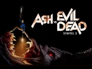 (3. Staffel) (3. Staffel)