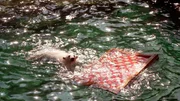 Ein Floß im Eisbär-Becken: Stefan Germann und Benedikt Knüppe haben eine besondere Überraschung für Eisbärmädchen Nana – ein Floß, auf dem sie herumtoben kann. Damit das robuste Wasserspielzeug beim Herumtollen seine Position behält, müssen Stefan und Bene das Floß fest am Beckengrund verankern. Die beiden steigen in die Tauchausrüstung für den Einsatz unter Wasser. Wird Nana sich auch auf das wackelige Wasserfahrzeug trauen? Ein Floß im Eisbär-Becken: Stefan Germann und Benedikt Knüppe haben eine besondere Überraschung für Eisbärmädchen Nana – ein Floß, auf dem sie herumtoben kann. Damit das robuste Wasserspielzeug beim Herumtollen seine Position behält, müssen Stefan und Bene das Floß fest am Beckengrund verankern. Die beiden steigen in die Tauchausrüstung für den Einsatz unter Wasser. Wird Nana sich auch auf das wackelige Wasserfahrzeug trauen?