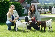 F&uuml;r Katja Baumann (Simone Thomalla, r.) und Lilly Engel (Julia Willecke, l.) gibt es eine tierische &Uuml;berraschung.