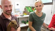 Heute steht die Erstuntersuchung der Wasserschweinbabys an. Die f&uuml;nf s&uuml;&szlig;en Babys sind die Stars im Revier. Tier&auml;rztin Dr. Katja von D&ouml;rnberg macht den Gesundheitscheck. Zudem bekommen die L&uuml;tten einen Chip, eine Art elektronischer Personalausweis.