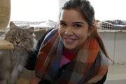Mit viel Liebe bekommt man alle Tierheimkatzen zahm.