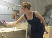 Aus einem Museum verschwindet ein ganz besonders wertvolles Ausstellungsst&uuml;ck, was die attraktive Schadensermittlerin Kristin Lehman (Serena Kaye) auf den Plan ruft ...