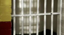 Mehr als 21 Jahre hat er im Todesstrakt verbracht, verurteilt am Mord einer jungen Frau. Immer wieder hat Nick Yarris seine Unschuld beteuert, doch irgendwann verl&auml;sst ihn der letzte Lebensmut. Und so bittet er den Gouverneur in einem Brief, sein Todesurteil in den n&auml;chsten 60 Tagen zu vollstrecken. Dass diese ungew&ouml;hnliche Bitte sein Leben ver&auml;ndern wird, h&auml;tte Yarris nie f&uuml;r m&ouml;glich gehalten. In "The Fear of 13" erz&auml;hlt Nick Yarris seine Lebensgeschichte - selbstkritisch, reflektiert und absolut mitrei&szlig;end.