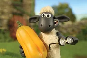 Guetnachtgschichtli Shaun das Schaf &ndash; Doppeltes Unheil Staffel 2 Folge 1 Als Bauer verkleidet  Copyright: SRF/2009 Aardman Animations Limited
