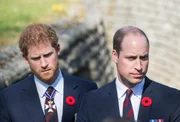 Prinz Harry, William, Prinz von Wales.