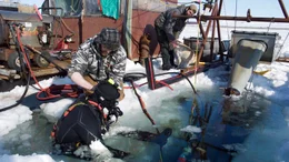 Unter dem Eis im minus zwei Grad kalten Wasser suchen Derek und seine Kumpel nach Gold.