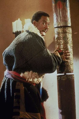 Sozialarbeiter Chandler Jarrell (Eddie Murphy) muss eine besonders knifflige Aufgabe l&ouml;sen: Er soll das 'Goldene Kind', das die Welt vor dem Untergang retten kann, aus den H&auml;nden des Schurken Sardo befreien.