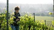„Die 200-Prozent-Zoll-Drohung war ein Schock.“ Winzerin Christine Lucas von Pfälzer Weingut LUCASHOF im Weinberg über der Weinstraßengemeinde Forst. „Die 200-Prozent-Zoll-Drohung war ein Schock.“ Winzerin Christine Lucas von Pfälzer Weingut LUCASHOF im Weinberg über der Weinstraßengemeinde Forst.