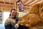 Nadine Gritsch (Pferdezücher) mit Sebastian Gritsch (Ehemann) bei ihren Islandponys im Stall Nadine Gritsch (Pferdezücher) mit Sebastian Gritsch (Ehemann) bei ihren Islandponys im Stall