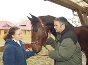 MDR Fernsehen IN ALLER FREUNDSCHAFT FOLGE 223, "Auf dem Sprung", am Freitag um 11:35 Uhr. Nicole Beyer (Lina Rabea Mohr) und ihr Vater Arno Beyer (René Hofschneider). Arno Beyer trainiert seine Tochter für die Olympiaqualifikation im Springreiten. MDR Fernsehen IN ALLER FREUNDSCHAFT FOLGE 223, "Auf dem Sprung", am Freitag um 11:35 Uhr. Nicole Beyer (Lina Rabea Mohr) und ihr Vater Arno Beyer (René Hofschneider). Arno Beyer trainiert seine Tochter für die Olympiaqualifikation im Springreiten.