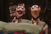Die Erdmännchen Jan und Henry sitzen mit Glocken um den Hals in ihrem Bett.