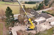 Der über 25 Meter große Baum steht und muss nun noch geschmückt werden. Der über 25 Meter große Baum steht und muss nun noch geschmückt werden.