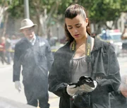 Ziva (Cote de Pablo, r.) ist geschockt, als sie am Tatort Tonys Dienstmarke und Ausweis findet ... Ziva (Cote de Pablo, r.) ist geschockt, als sie am Tatort Tonys Dienstmarke und Ausweis findet ...