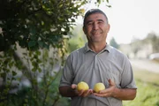 Zu Tisch Usbekistan Bahriddin zeigt stolz seine Quitten