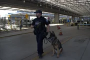 CBP-Beamter Plamondon geht mit seinem K9 Terka spazieren, w&auml;hrend sie am San Ysidro Port of Entry in San Diego, Kalifornien, auf den vorgelagerten Fahrspuren patrouillieren (National Geographic for Disney).