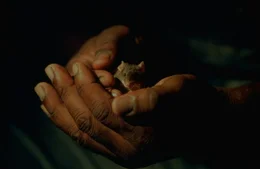 Innerhalb "The Green Mile" erwarten M&ouml;rder, W&auml;rter, ein scheinbar Unschuldiger und eine Maus ihr Schicksal...