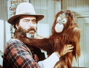 Edwards (Victor French) hat das Orang-Utan-Baby Blanche in Olesons Laden gefunden.