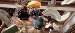 Die franz&ouml;sische Landratte Remy
