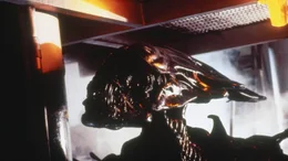 Als eine Milit&auml;rgruppe zu dem Planeten reist, auf dem einst Alien-Eier gefunden wurden, erleben die Menschen ein blutiges Massaker, denn nun m&uuml;ssen sie es nicht mehr nur gegen ein einziges Alien aufnehmen...