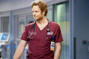 Will Halstead (Nick Gehlfuss)