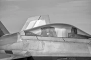 luftfahrt, f 22 raptor, raptor, jet, f-22, luft, flucht, flugzeuge, milit&auml;rische, american, f22, heimlichkeit, flugzeug, k&auml;mpfer, armee, luftwaffe, fliegen, airshow, krieg, verteidigung ,