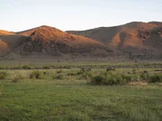 Die Umlaufbahn der Erde und eine leichte Verschiebung der Rotationsachse k&ouml;nnten ausreichen, um innerhalb der n&auml;chsten 1000 Jahre eine neue Eiszeit einzul&auml;uten.