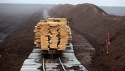 Ein Bauzug mit Holz f&uuml;r den Gleisbau, abgestellt auf einem Nebengleis, das immer tiefer ins Moor hineinf&uuml;hrt.