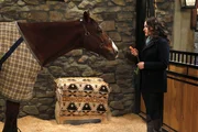 Max (Kat Dennings) vertraut Carolines Pferd Chestnut gerne und oft ihre Gedanken und Gefühle an. Die sonst so toughe junge Frau sieht den neuen Stall als optimale Rückzugsmöglichkeit. Max (Kat Dennings) vertraut Carolines Pferd Chestnut gerne und oft ihre Gedanken und Gefühle an. Die sonst so toughe junge Frau sieht den neuen Stall als optimale Rückzugsmöglichkeit.