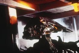 Als eine Milit&auml;rgruppe zu dem Planeten reist, auf dem einst Alien-Eier gefunden wurden, erleben die Menschen ein blutiges Massaker, denn nun m&uuml;ssen sie es nicht mehr nur gegen ein einziges Alien aufnehmen...