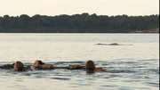 Survivalisten im Wasser. Survivalisten im Wasser.