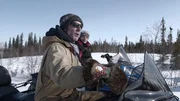 "Pike" Mike Harrison and Chef Ron search for the destructive bear.
