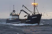 Kodiak--Kodiak.