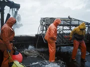 Matt Sullivan holds the buoys while Chris Kirk and Brian Greer shut the pot door. Matt Sullivan holds the buoys while Chris Kirk and Brian Greer shut the pot door.