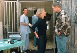 Die Tier&auml;rztin Dr. Tana Fechner (Ann-Kathrin Kramer, Mitte) versucht zusammen mit ihrem Kollegen Dr. Alexander Pfleghar (Heio von Stetten, li.) ein erkranktes Pferd des Reitstall-Besitzers Bernhard Bausch (Harald Krassnitzer, re.) zu retten.